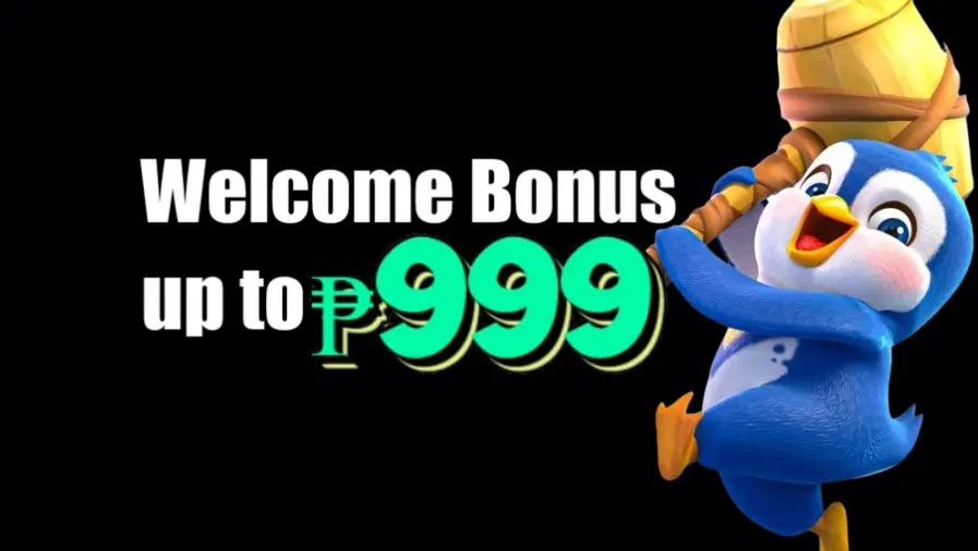 6566