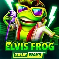 6566